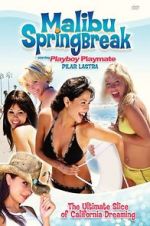Watch Malibu Spring Break 123MovieFree