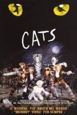 Watch Cats 123MovieFree