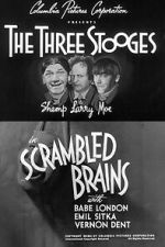 Watch Scrambled Brains 123MovieFree