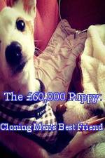 Watch The �60,000 Puppy: Cloning Man's Best Friend 123MovieFree