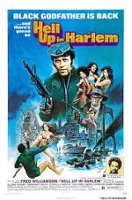 Watch Hell Up in Harlem 123MovieFree