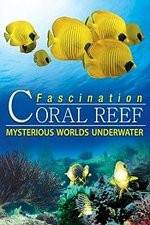 Watch Fascination Coral Reef: Mysterious Worlds Underwater 123MovieFree