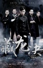 Watch Hidden Dragon Battle 123MovieFree