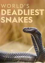 Watch World's Deadliest Snakes 123MovieFree
