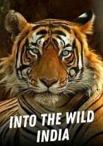 Watch Into the Wild India 123MovieFree