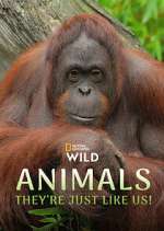 Watch Animals, They\'re Just Like Us! 123MovieFree