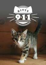 Watch Kitty 911 123MovieFree