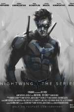 Watch Nightwing: The Series 123MovieFree
