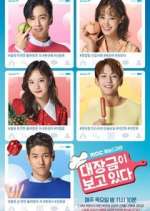 Watch Dae Jang Geum Is Watching 123MovieFree