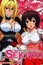 Watch Sekirei 123MovieFree