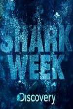 Watch Shark Week 123MovieFree