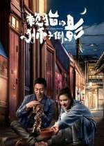 Watch The Lion's Secret 123MovieFree