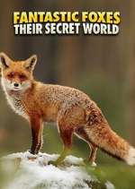 Watch Fantastic Foxes: Their Secret World 123MovieFree