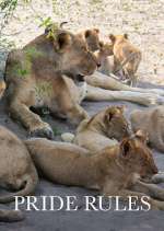 Watch Pride Rules 123MovieFree