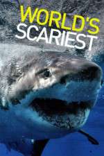 Watch World's Scariest... 123MovieFree