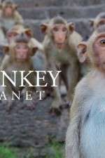 Watch Monkey Planet 123MovieFree