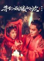 Watch Buried City to Shut All Lights 123MovieFree