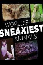 Watch World's Sneakiest Animals 123MovieFree