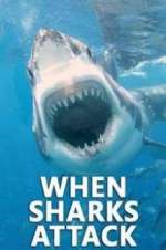 Watch When Sharks Attack 123MovieFree