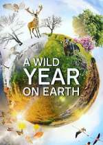 Watch A Wild Year on Earth 123MovieFree