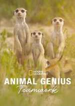 Watch Animal Genius 123MovieFree
