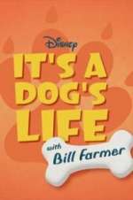 Watch It\'s a Dog\'s Life with Bill Farmer 123MovieFree