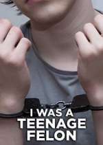 Watch I Was a Teenage Felon 123MovieFree