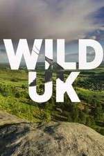 Watch Wild UK 123MovieFree