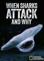 Watch When Sharks Attack... And Why 123MovieFree