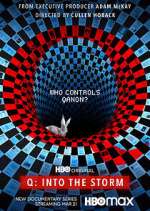 Watch Q: Into the Storm 123MovieFree