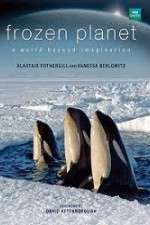 Watch Frozen Planet 123MovieFree