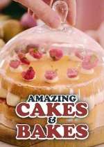 Watch Amazing Cakes & Bakes 123MovieFree