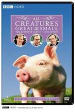 Watch All Creatures Great and Small 123MovieFree