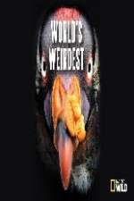 Watch National Geographic Worlds weirdest 123MovieFree