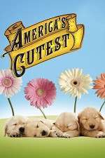 Watch America's Cutest 123MovieFree
