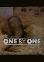 Watch One by One 123MovieFree