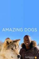 Watch Amazing Dogs 123MovieFree