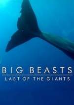 Watch Big Beasts: Last of the Giants 123MovieFree