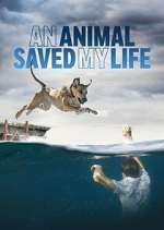 Watch An Animal Saved My Life 123MovieFree