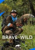 Watch Coyote Peterson: Brave the Wild 123MovieFree