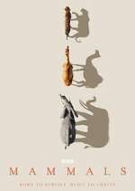 Watch Mammals 123MovieFree