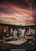 Watch Hunted 123MovieFree