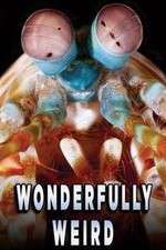 Watch Wonderfully Weird 123MovieFree