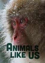 Watch Animals Like Us 123MovieFree