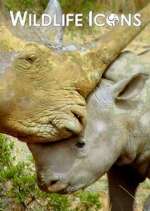 Watch Wildlife Icons 123MovieFree