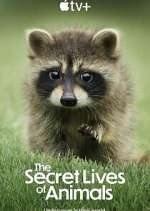 Watch The Secret Lives of Animals 123MovieFree