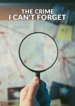 Watch The Crime I Can't Forget 123MovieFree