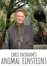 Watch Chris Packham's Animal Einsteins 123MovieFree