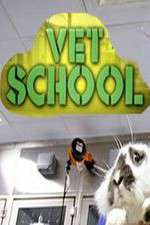 Watch Vet School 123MovieFree