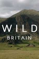 Watch Wild Britain 123MovieFree